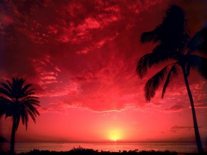 South Pacific Sunset