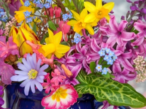 Spring Flowers From the Garden