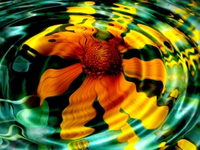 Sunflower in Water