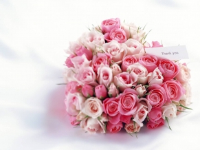 Thank you for Gift