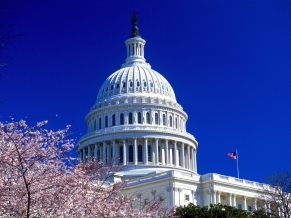 United States Capitol