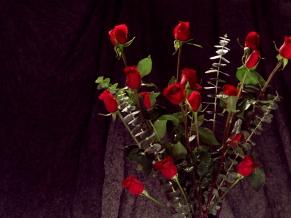 Bunch of Red Roses