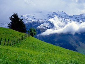 Green Over Clouds