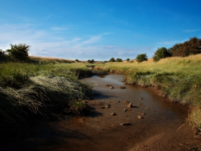Nature Scenery