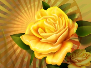 Yellow Rose