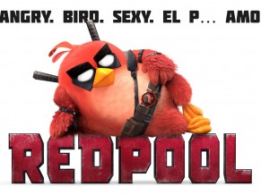 Angry Birds RedPool
