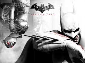 Batman Arkham City Video Game