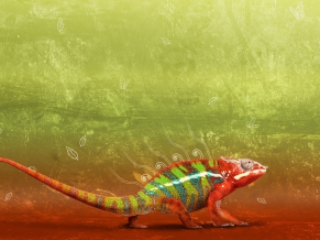 Colorful Creature