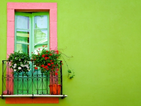 Green Wall Window