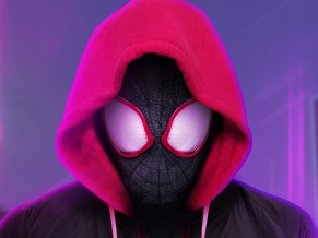 Miles Morales Spider Man Into the Spider Verse