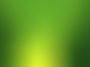 Simple Green