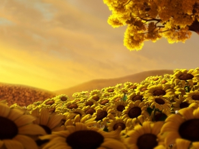 Sun Flower World HD