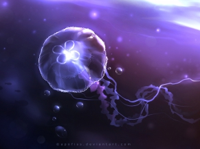 Underwater Jellyfish