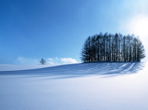 Winter Scenery