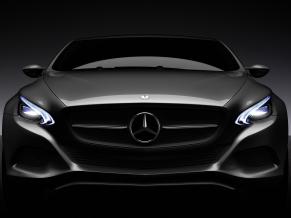 2010 Mercedes Benz F800 Style Concept 2