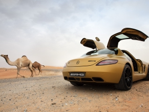 2010 Mercedes Benz SLS AMG Desert Gold 8