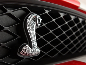 2011 Ford Shelby