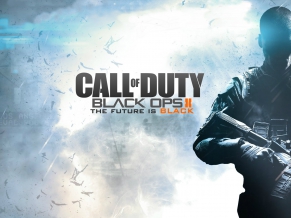 2013 Call of Duty Black Ops 2