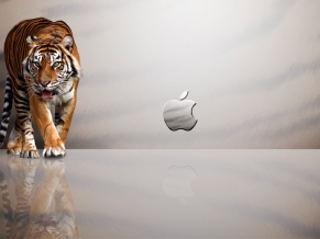 Apple MAC Tiger