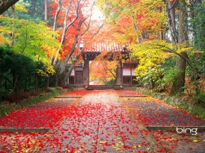 Autumn in Japan