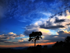 Beautiful Sky