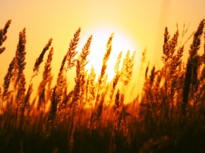 Beautiful Sun Rise