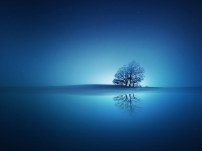 Blue Reflections