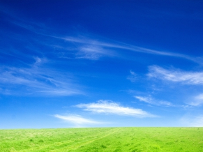 Blue Sky Green Grass