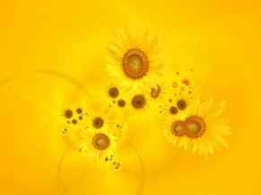 Bright Yellow Sunflowers