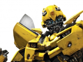 Bumble Bee