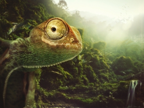 Chameleon
