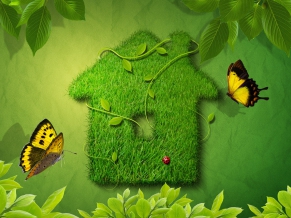 Creative Green House
