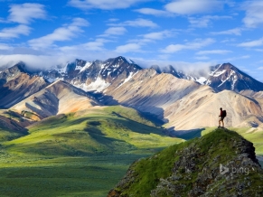 Denali National Park