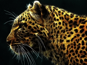 Digital Leopard