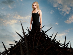 Emily VanCamp in Revenge