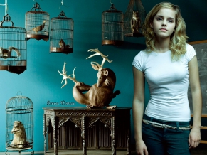 Emma Watson HD Widescreen