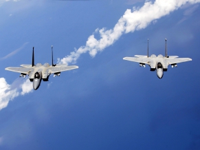 F 15 Eagles from the Air National Guard