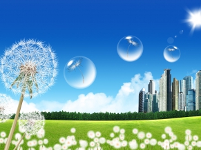 Fantasy Dreams