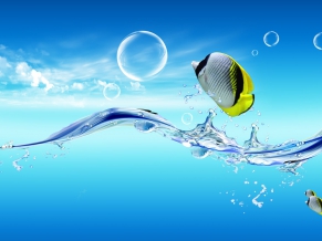 Fish Dreamy World