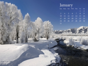 Fresh Snow January 2010 Calender