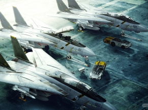 Grumman F 14 Tomcat