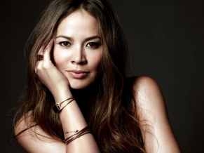 Moon Bloodgood Terminator Salvation Actress