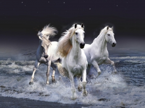 Mystic Horses