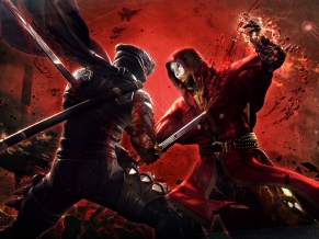 Ninja Gaiden 3 Game