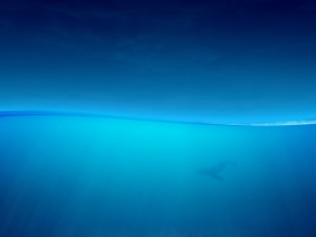 Ocean