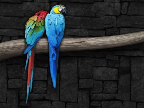 Pair of Parrots