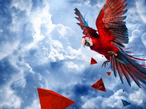 Parrot Blue Sky