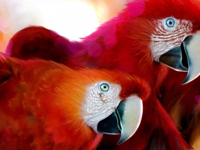 Parrots Widescreen