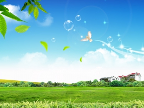 Peaceful Life