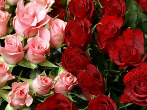 Pink & Red Roses Bouquet